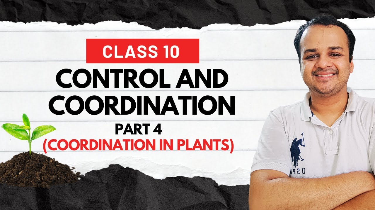 Control and Coordination (P4) | Class 10 | Coordination in Plants | CBSE