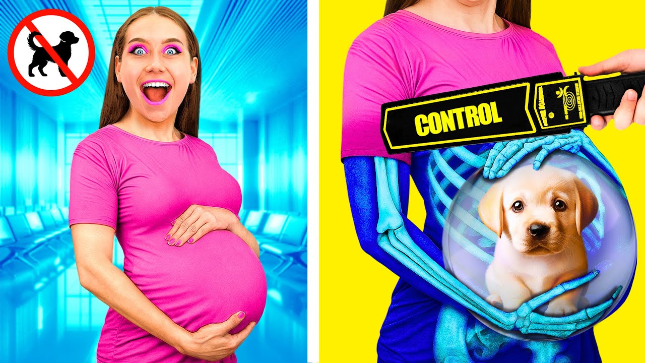 Как Пронести Домашних Животных в Самолёт | Смешные Трюки с Животными от PaRaRa Challenge