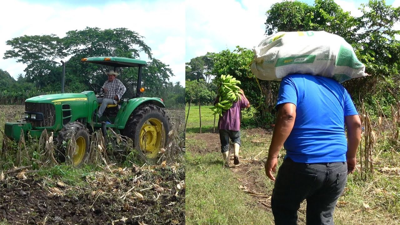 Así es la vida en el Campo en Guatemala