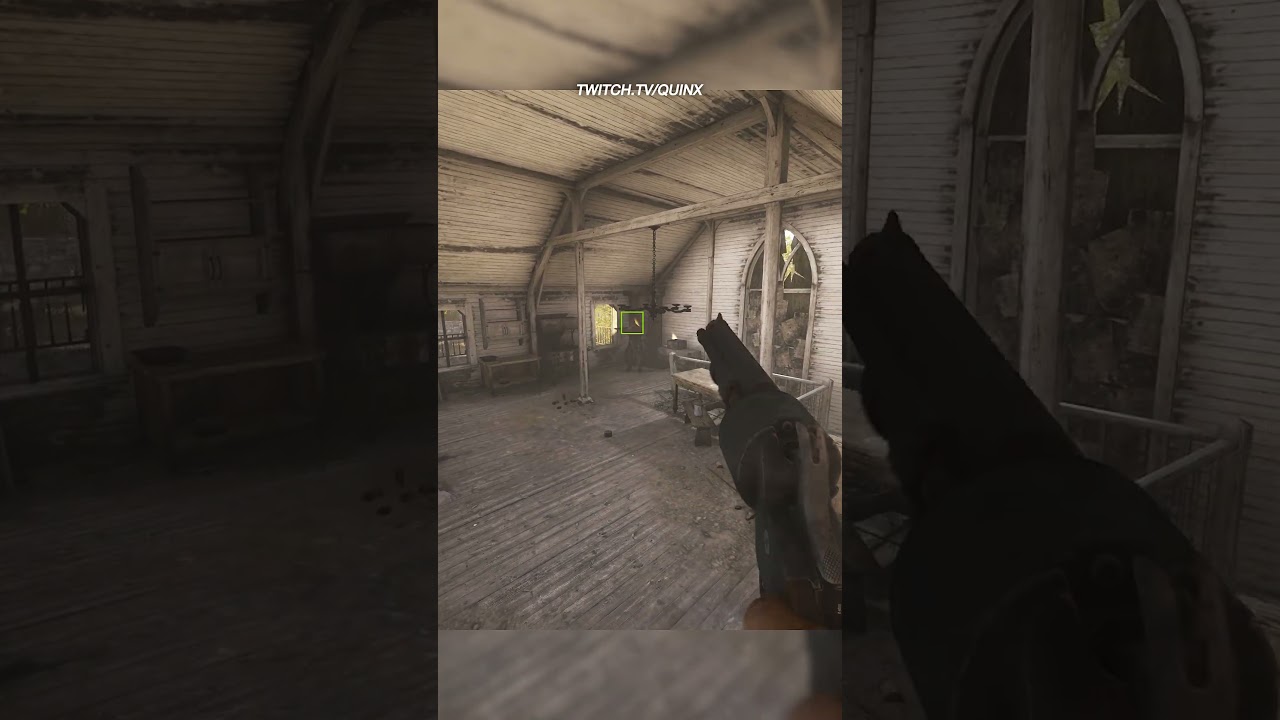 Is Vision Actually Based On Movement? | Hunt: Showdown 1896