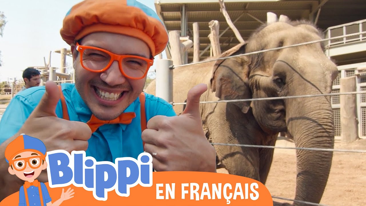 Le zoo de San Diego | Blippi en français | Vidéos éducatives pour enfants