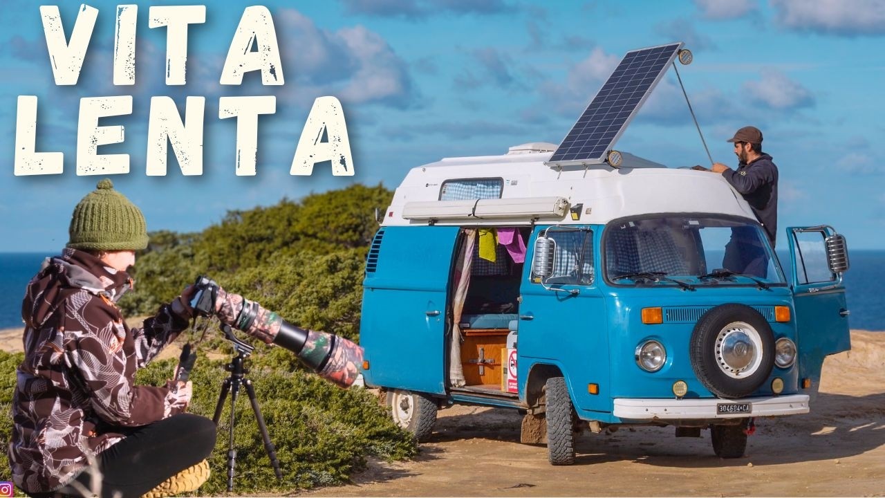QUESTO VIDEO TI RILASSERA': Vanlife in Sardegna tra Mare e Scogliere Selvagge 🌊