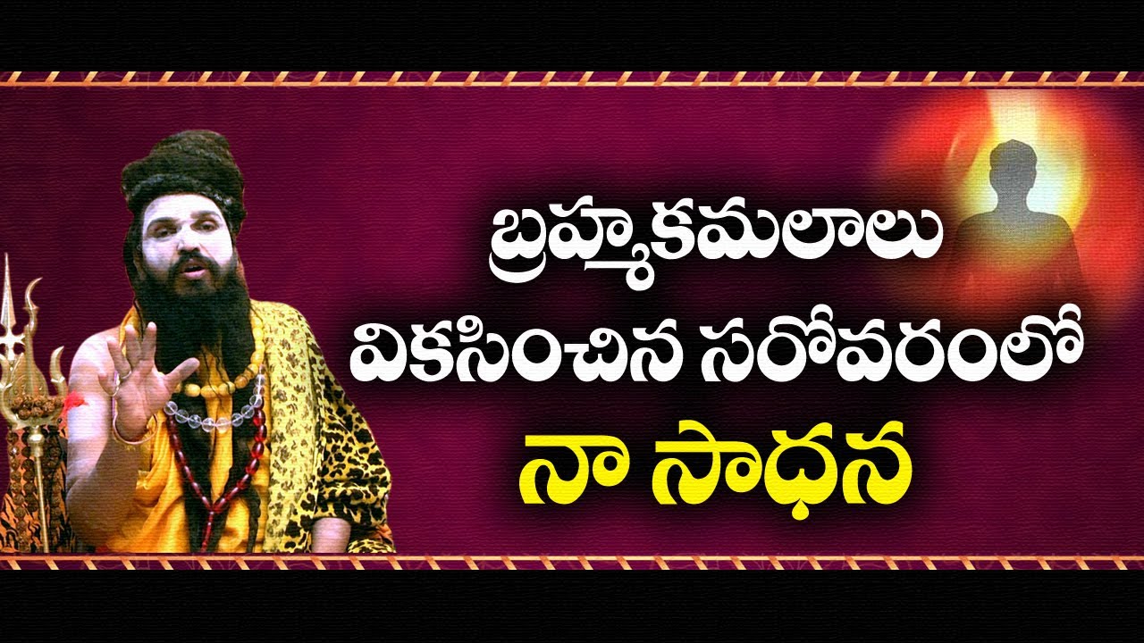 SADHANA || బ్రహ్మకమలాలు వికసించిన సరోవరంలో నా సాధన || Sri Swami Siddha Yogi #sreesannidhitv