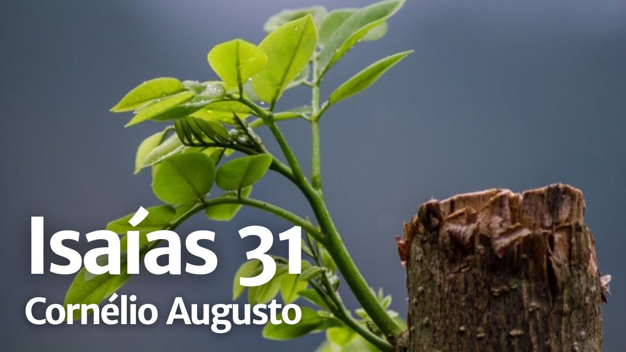 Bíblia Falada | Isaías 31