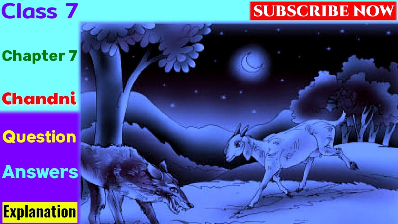 Chandni Class 7 question answer | class 7th english chapter 7 chandni question answer |An Alien Hand