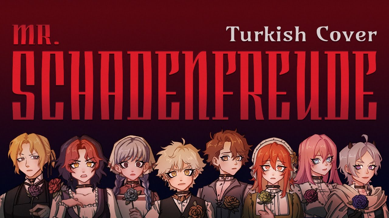Mr. Schadenfreude (Turkish Cover)