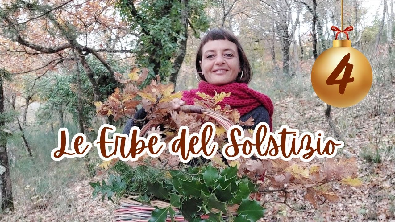 4 - 🎄 Raccogliere le Erbe del Solstizio d'inverno 🌿 Passeggiata nel bosco 💚  Video rilassante.