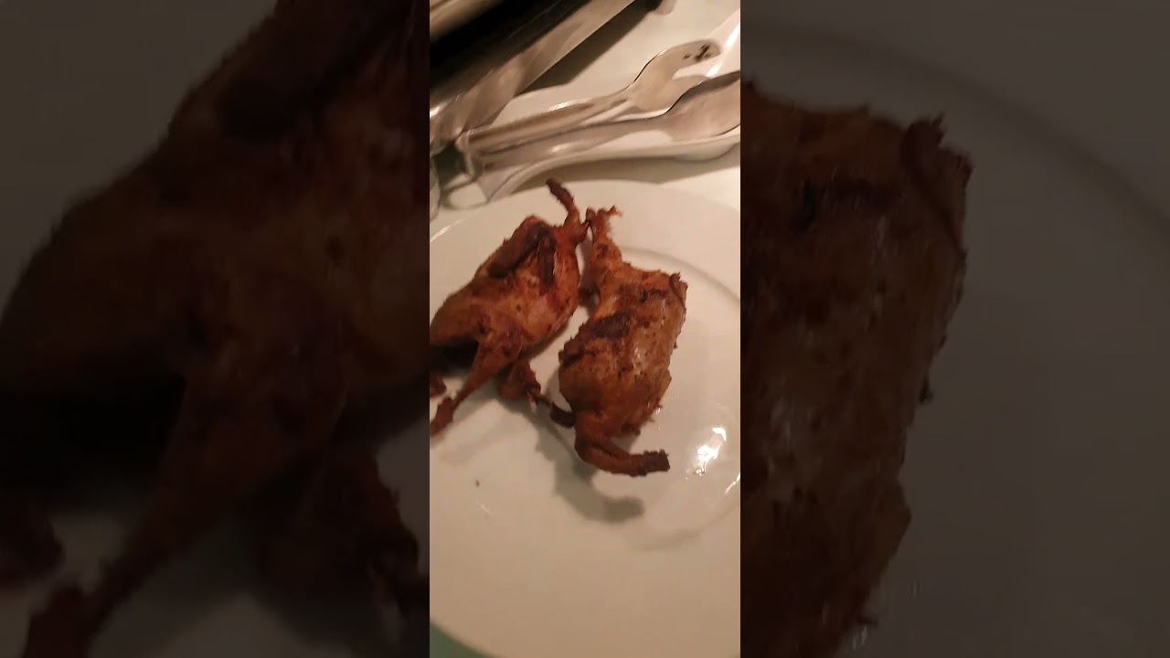 #Brontosaurus and Pterodactyl #era #Suenohotel #cooking #shorts