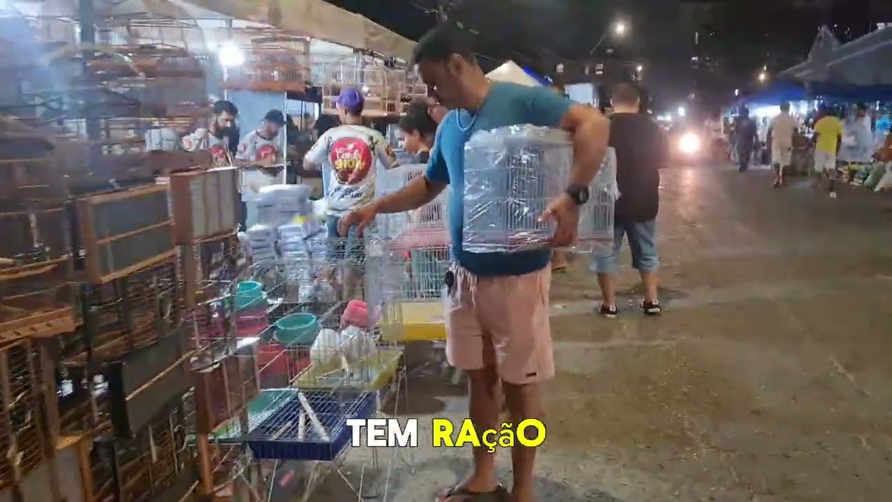 😱 SÓ 20 REAIS! PROMOÇÃO DE NATAL DE GAIOLAS NA FEIRA DO CORDEIRO 🎄🕊️
