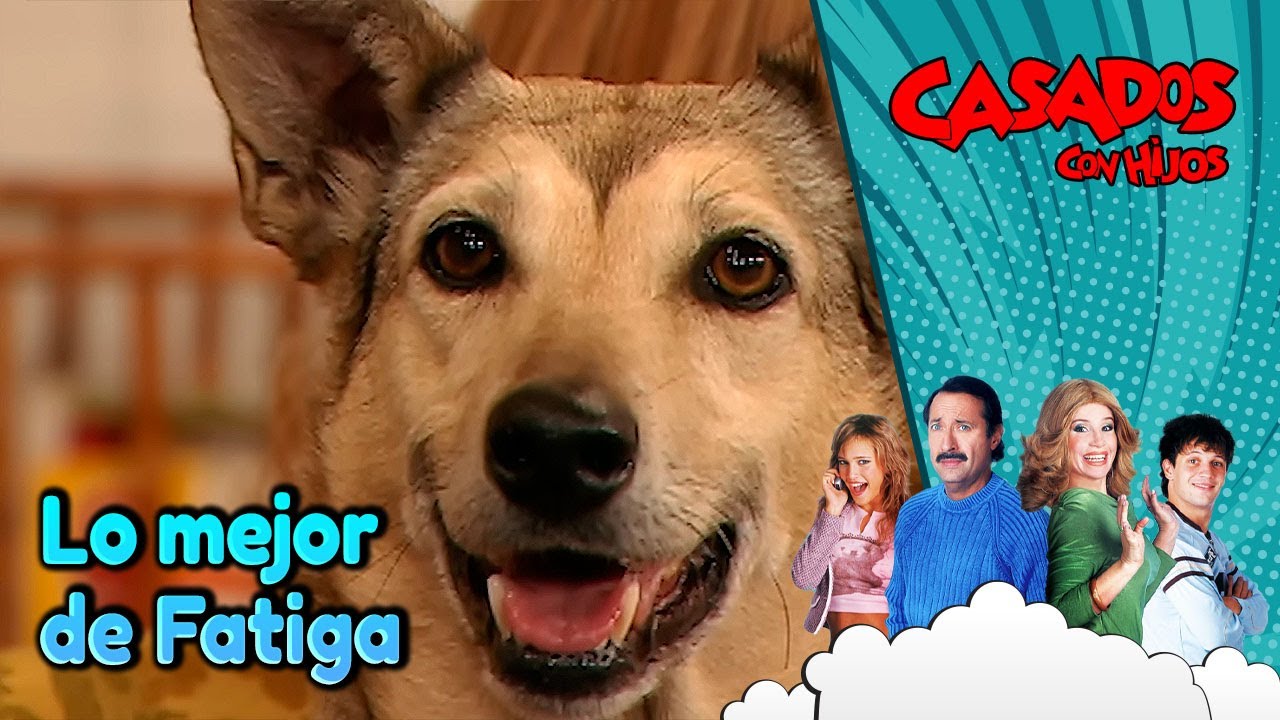 Mejores momentos de Fatiga, el perro que todos amamos 🐶 | Casados con Hijos Argentina