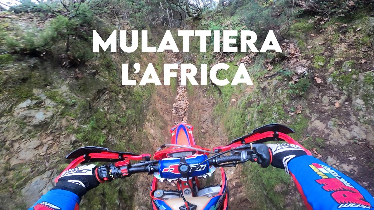 Mulattiera Africa - Beta rr 300