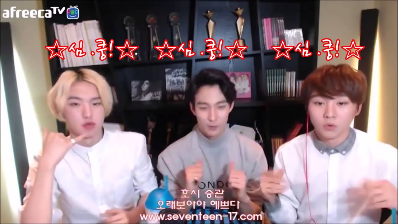 [세븐틴] 부석순 유행어 대란ㅋㅋㅋ (승관, 도겸, 호시)