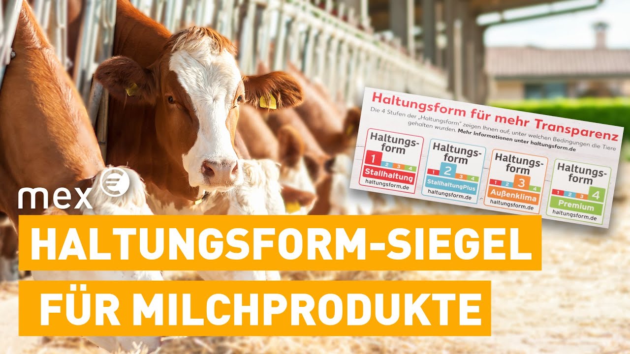 Neues Milch-Label: Wer zahlt den Preis für mehr Tierwohl? | mex