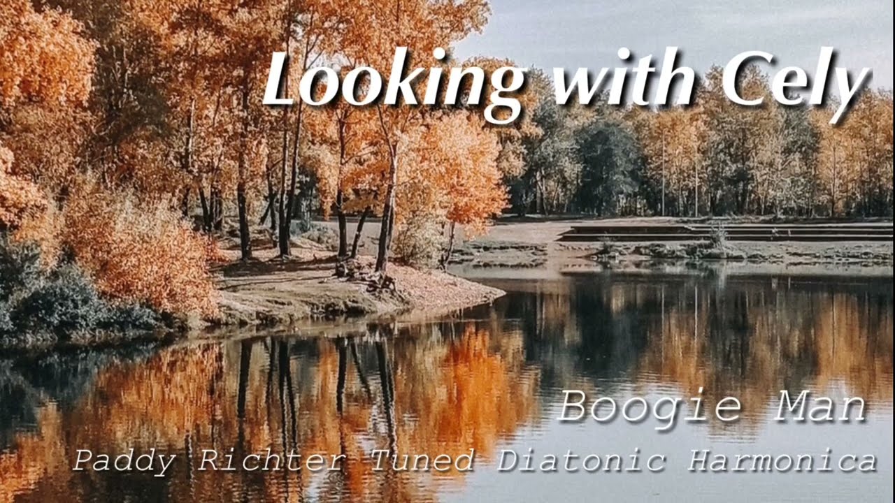 Looking with Cely - Paddy Diatonic Harmonica