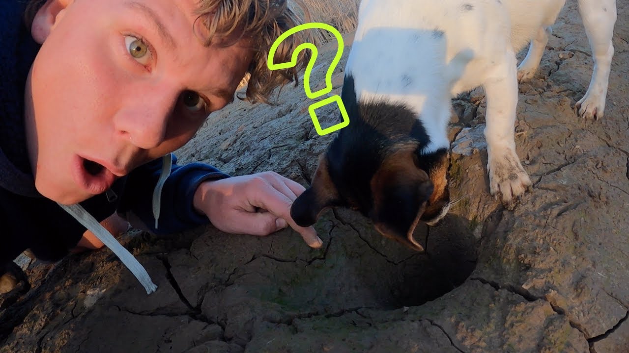 How To Catch Big Yabbies In The Middle Of Winter