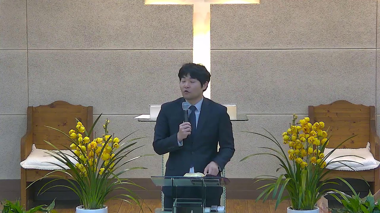 흥해침례교회 2026.02.11 수요일 새벽예배