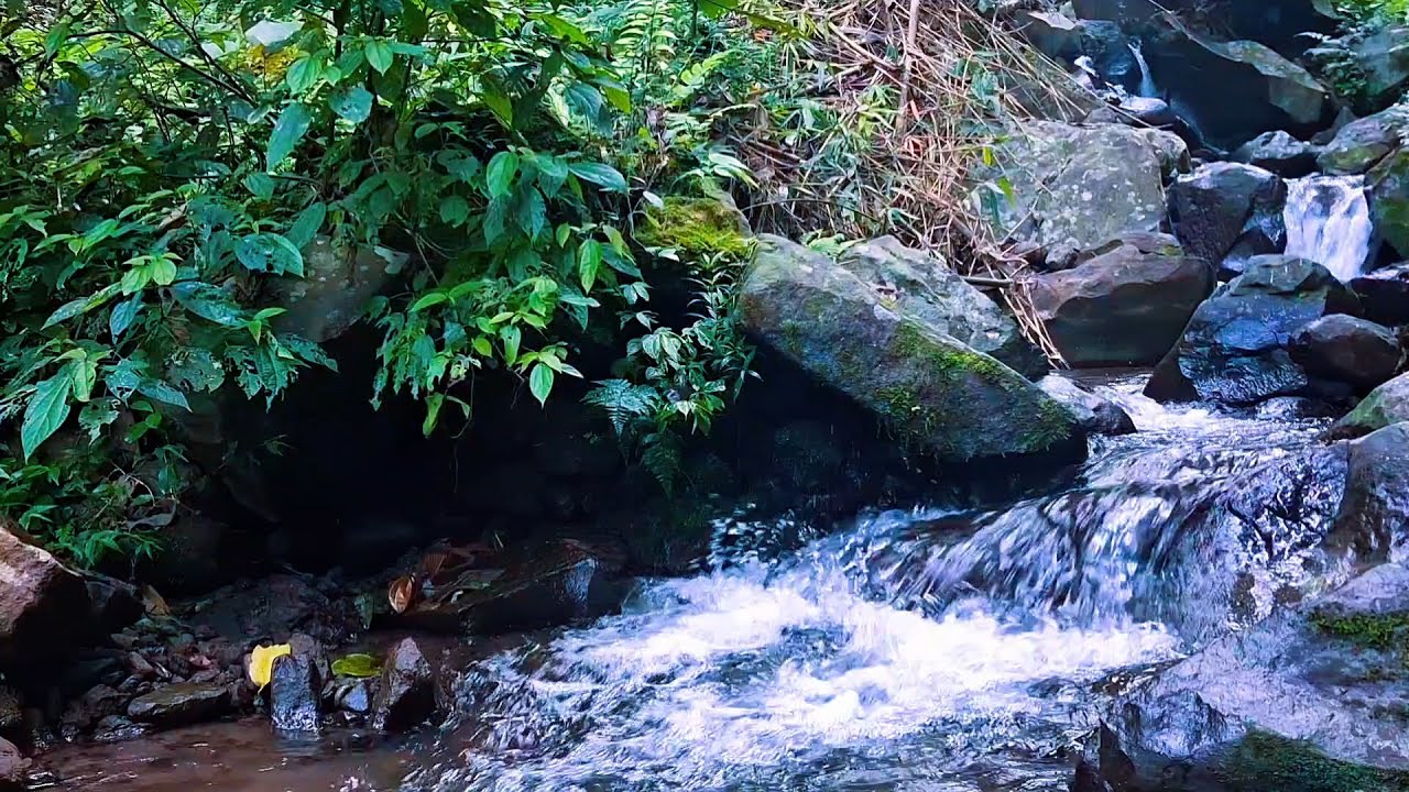 Gentle River Water for Stress Reduction