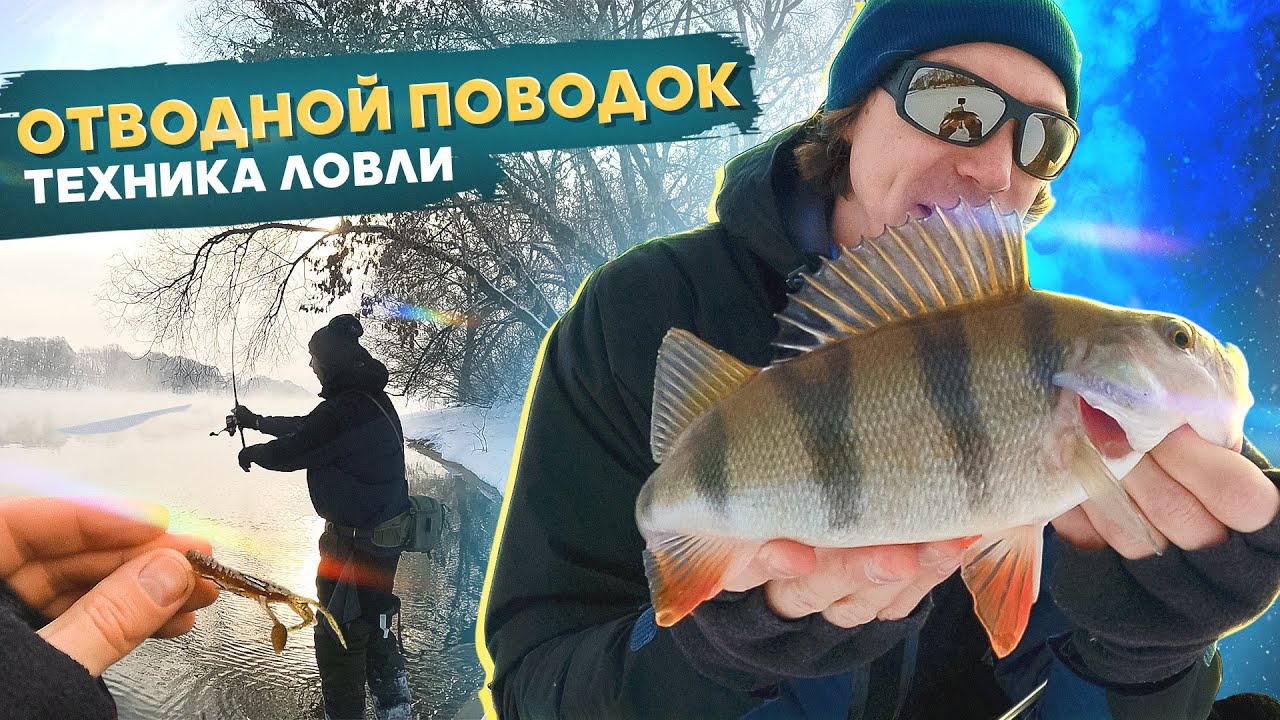 КРУПНЫЙ ОКУНЬ на отводной поводок. Рыбалка с #OnlySpin