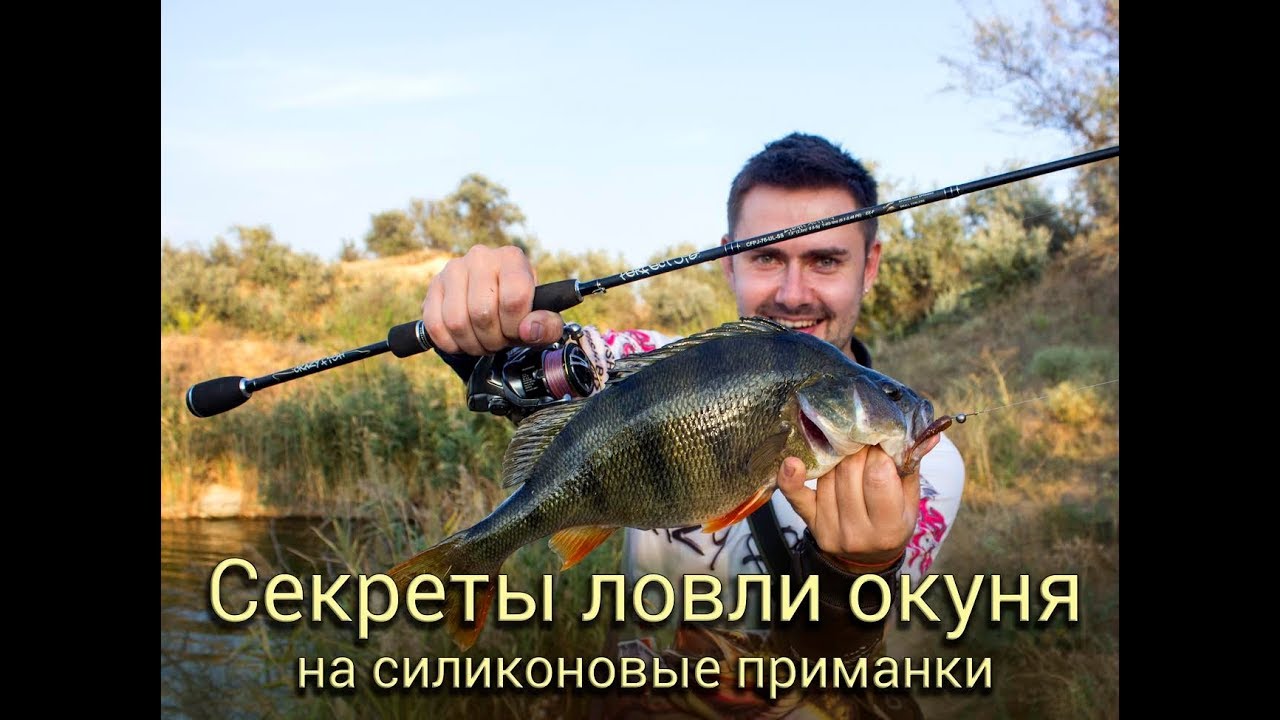 Ловля окуня на силиконовые приманки: советы и секреты [Crazy Fish]