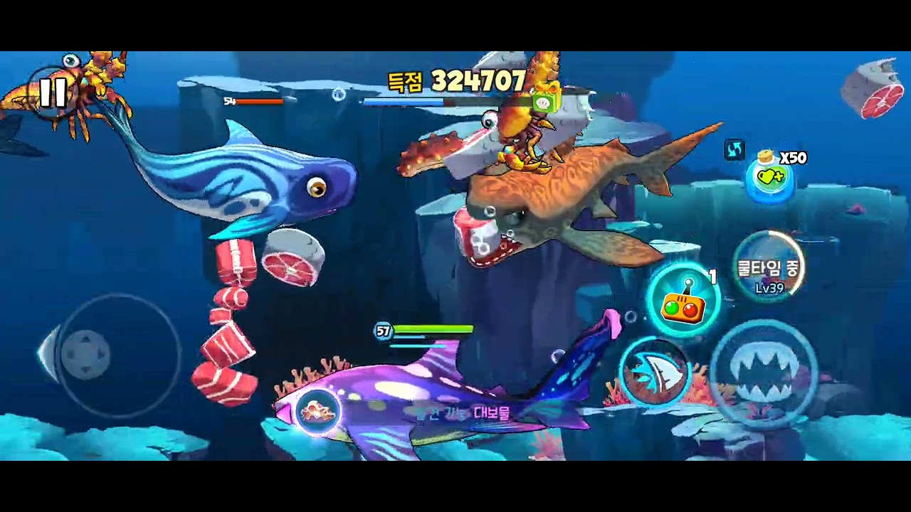 뻐끔뻐끔배틀 Fish Eat Fish 구독자요청 (기니만 환도상어)