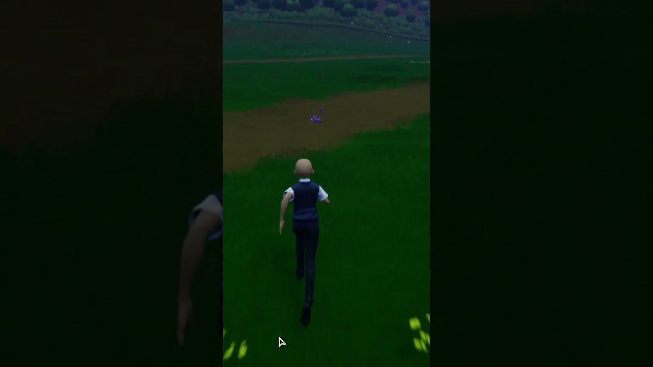 POK&Eacute;MON MMO 3D