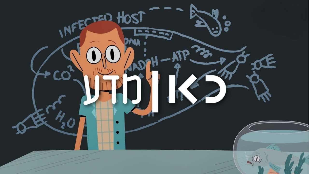כאן | מדע - מה מאיים על החמצן שלנו?