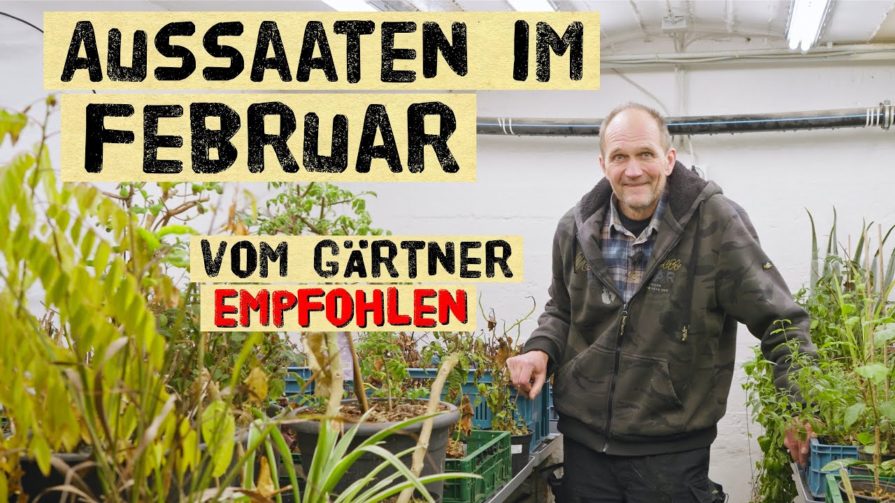Aussaat im Februar (trotz K&auml;lte): Profi-G&auml;rtner zeigt, was du jetzt s&auml;en kannst &ndash; neuer Aussaatraum