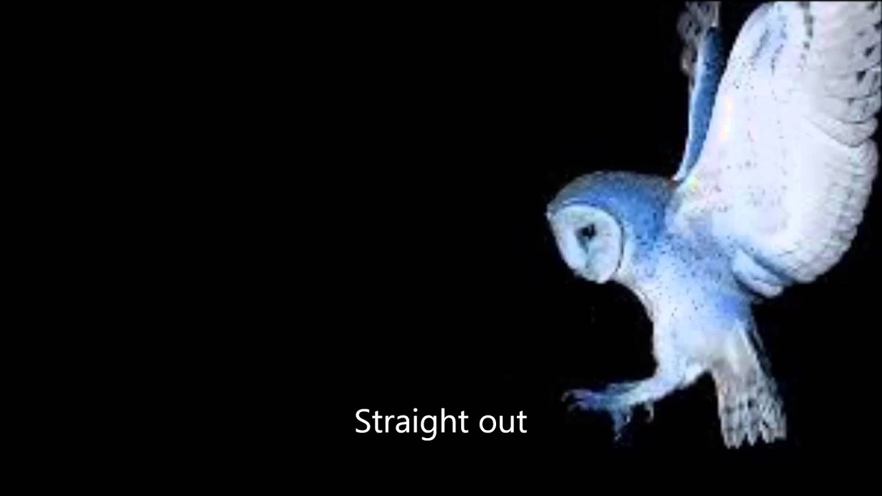 Deftones - CMND/CTRL - Lyrics