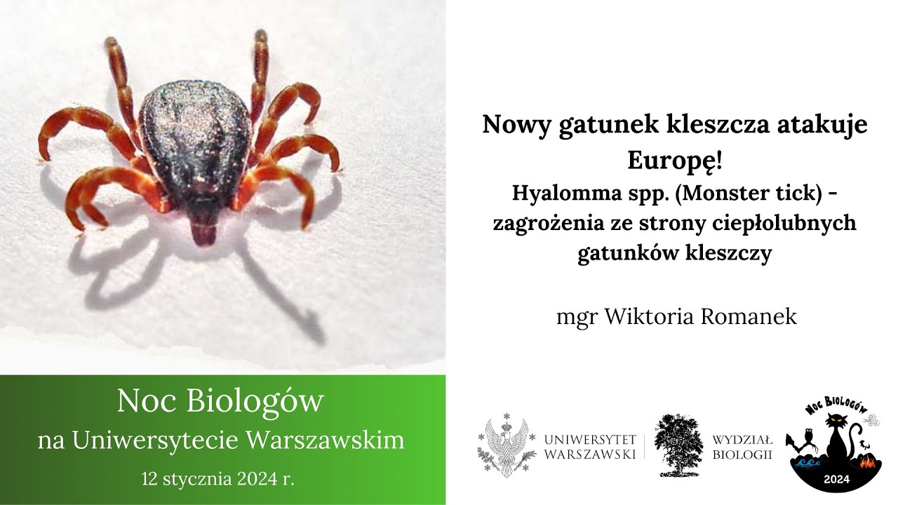 Nowy gatunek kleszcza atakuje Europę! Hyalomma spp. (Monster tick) - zagrożenia ze strony kleszczy.