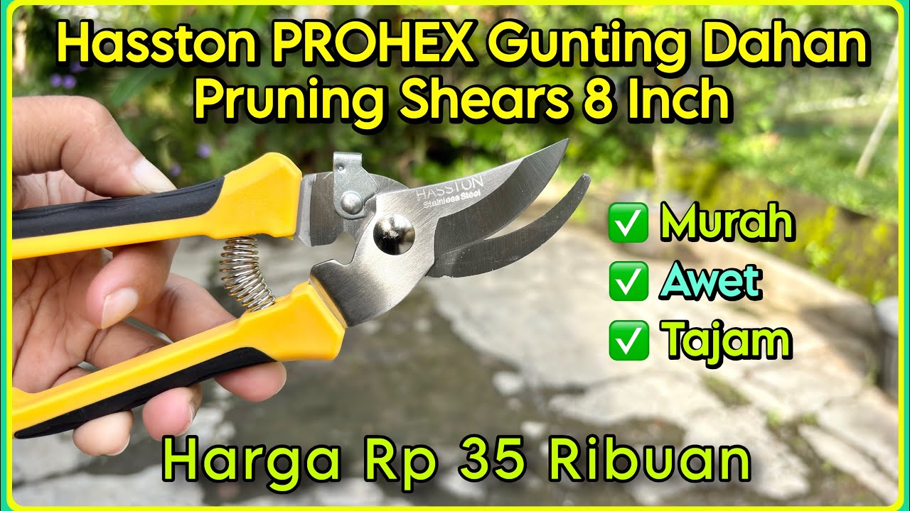 Review Hasston PROHEX Gunting Dahan Pruning Shears 8 Inch | Gunting Pruning Murah Harga 35 Ribuan!