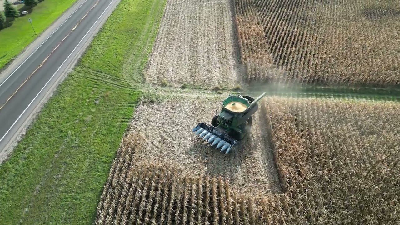 Cannon Falls Corn Harvest - Fall 2023