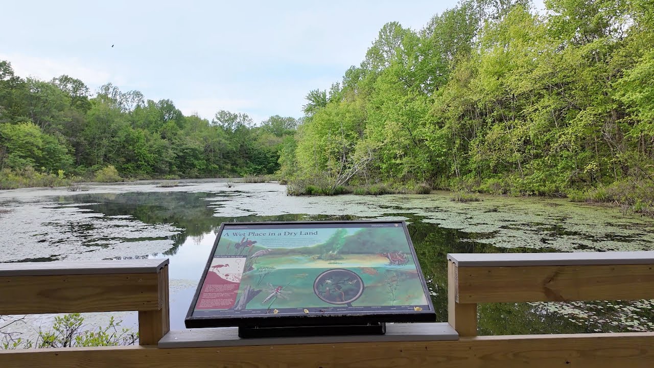 Mammoth Cave Sloans Crossing Pond Virtual Walk - April 2025