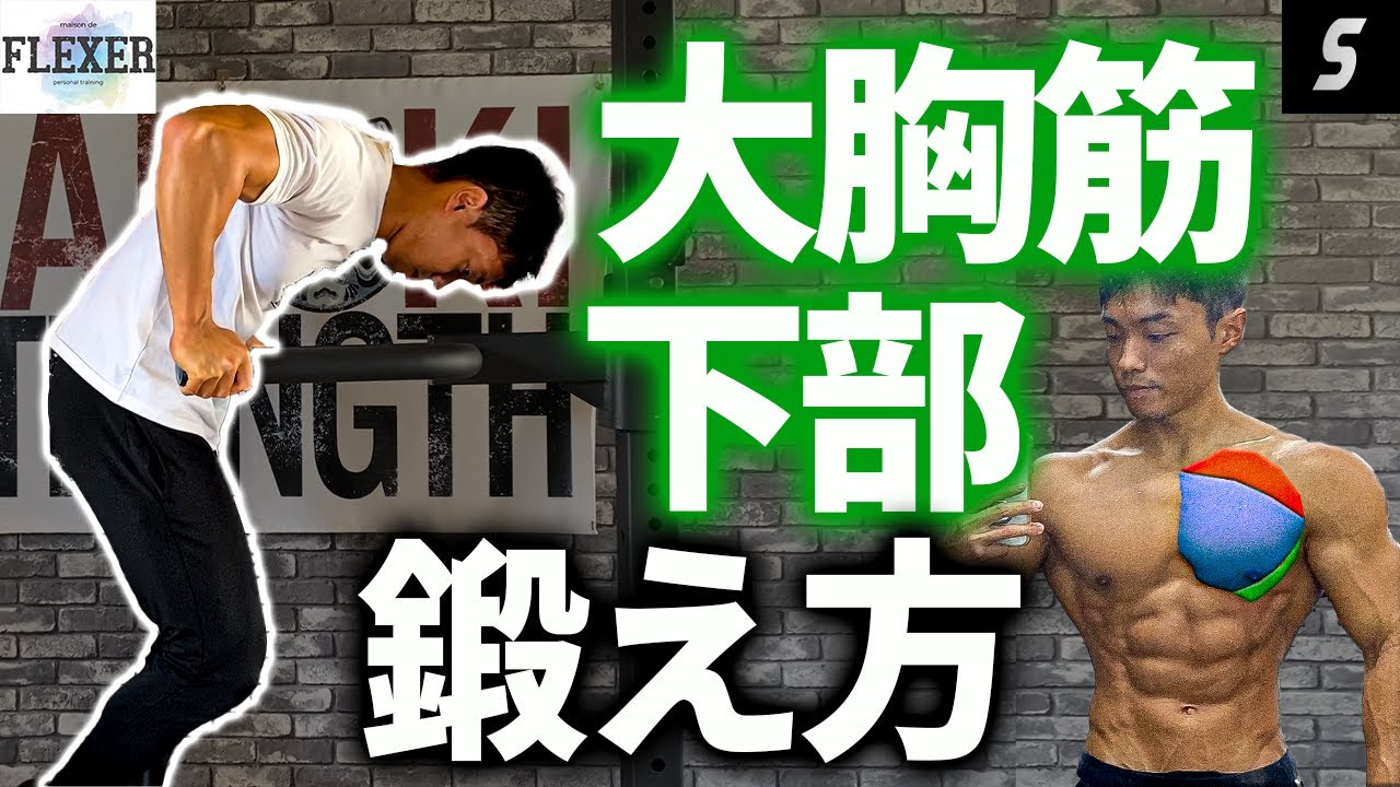 難しい‼肩が痛くなる人多しディップス【大胸筋下部トレーニング】