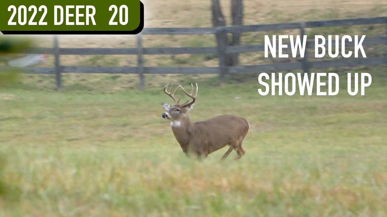 Big Buck SPOT AND STALK with the 30-30