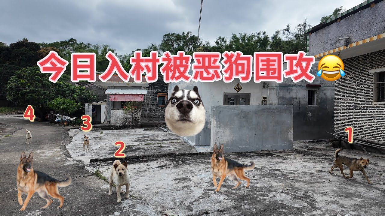 台山百曉：今日分享視頻拍攝地點是台山市三合鎮永昌鄉山塘村，又路過新安墟參觀了育英學校，以及廟邊墟的翁家樓，百年建築，最後都是逃不過歲月的摧殘！#台山 #taishan #taishanese #旅行 