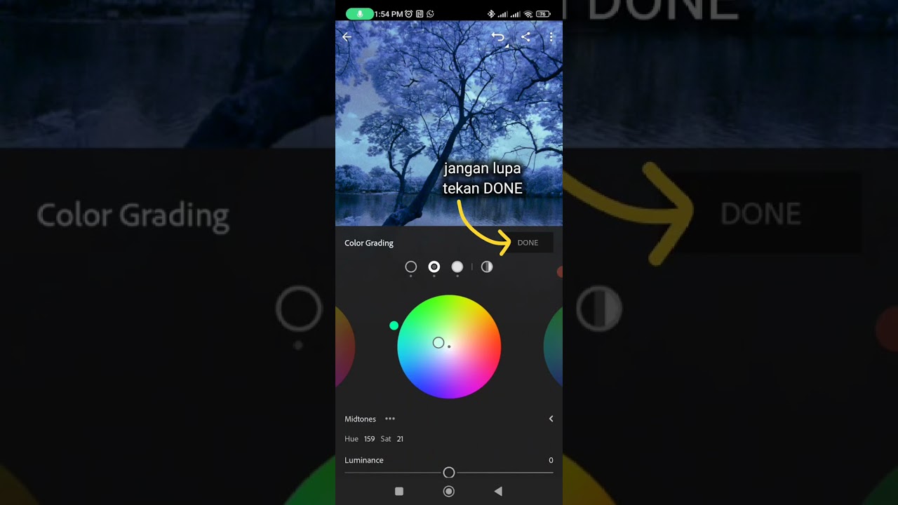 Tutorial on How to Edit Infrared Photos on a Cellphone (Lightroom mobile)