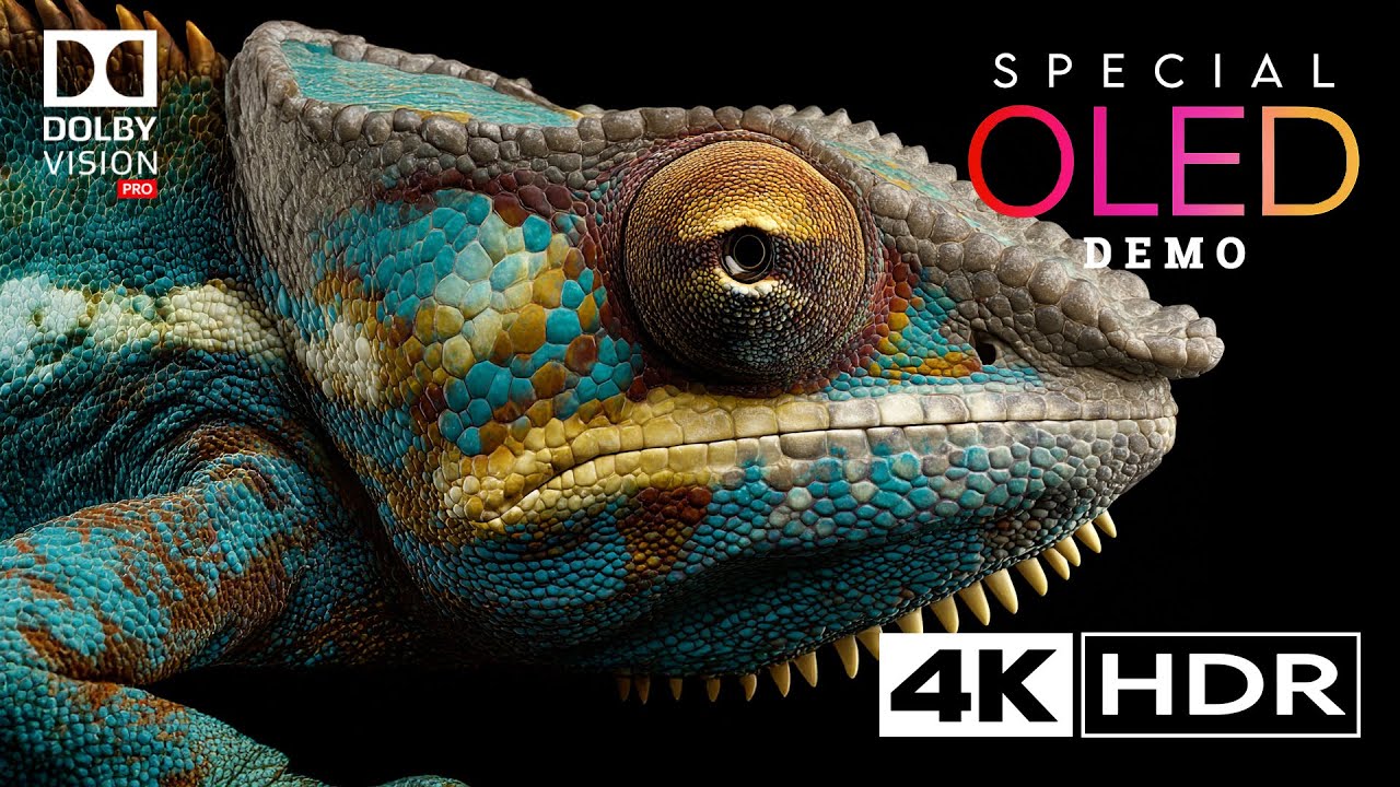Super OLED 4K HDR Demo | Dolby Vision Ultra HD Video 120FPS