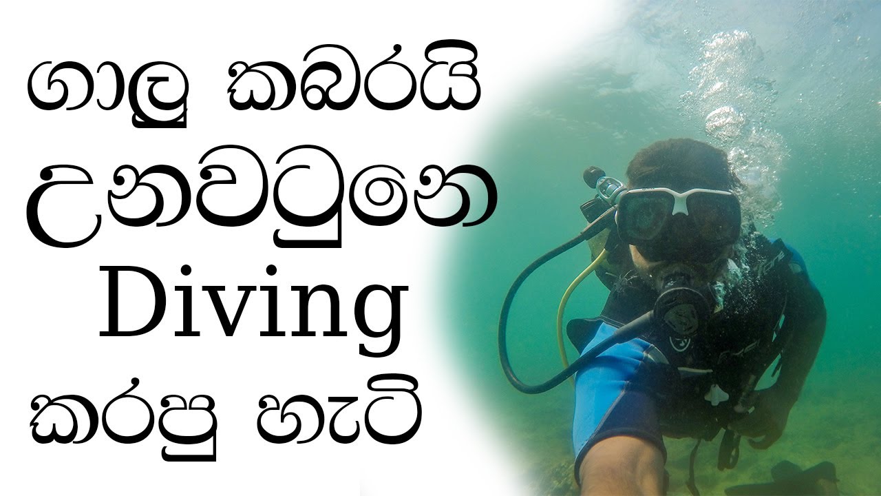 ගාලු කබරයා ( The Galle Monitor & Diving in Unawatuna )