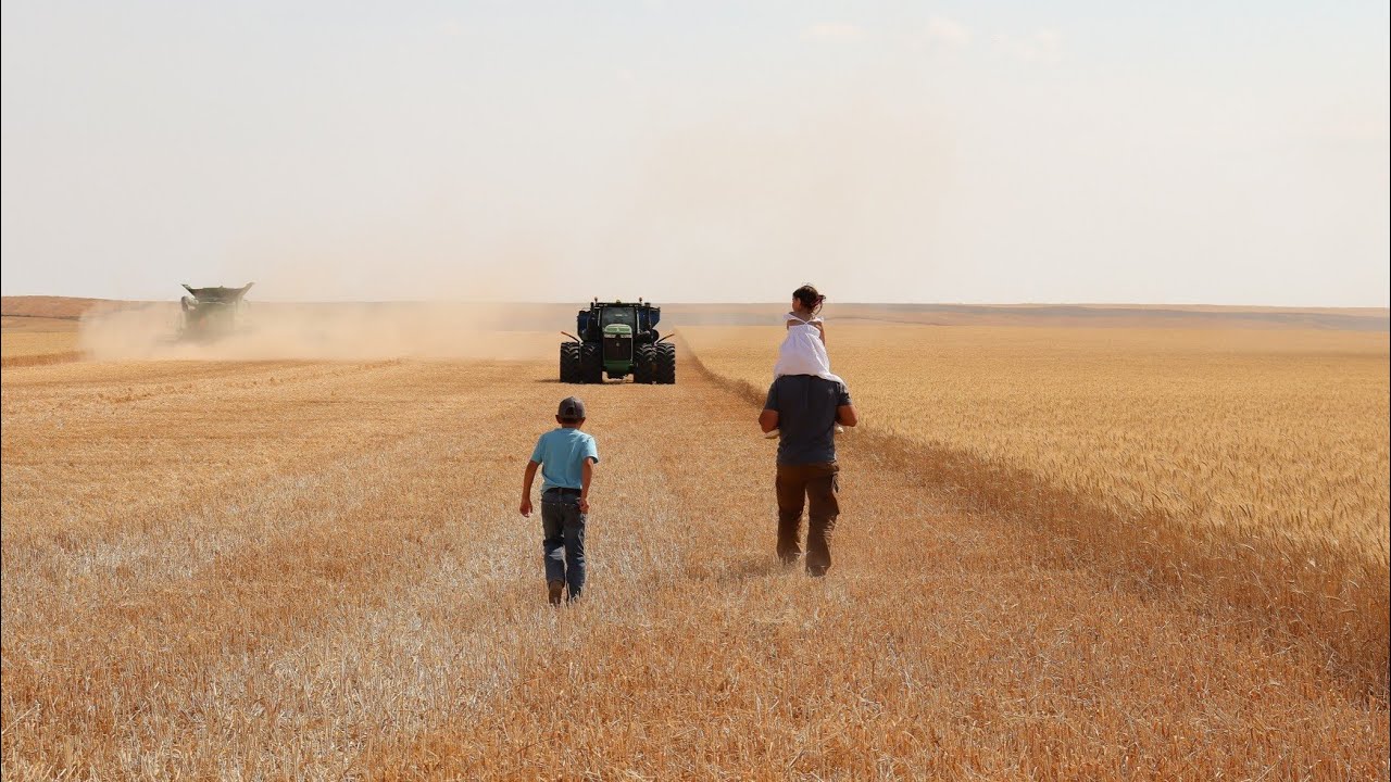Better Soil, Better Yields with the Maximum Farming System - Philipps Farm