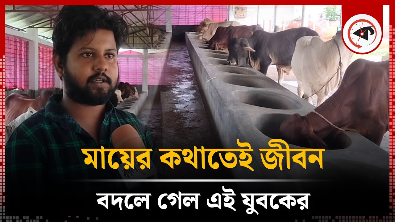 মায়ের কথাতেই জীবন বদলে গেল এই যুবকের  | Cow farm | Entrepreneur | Joypurhat | Kalbela