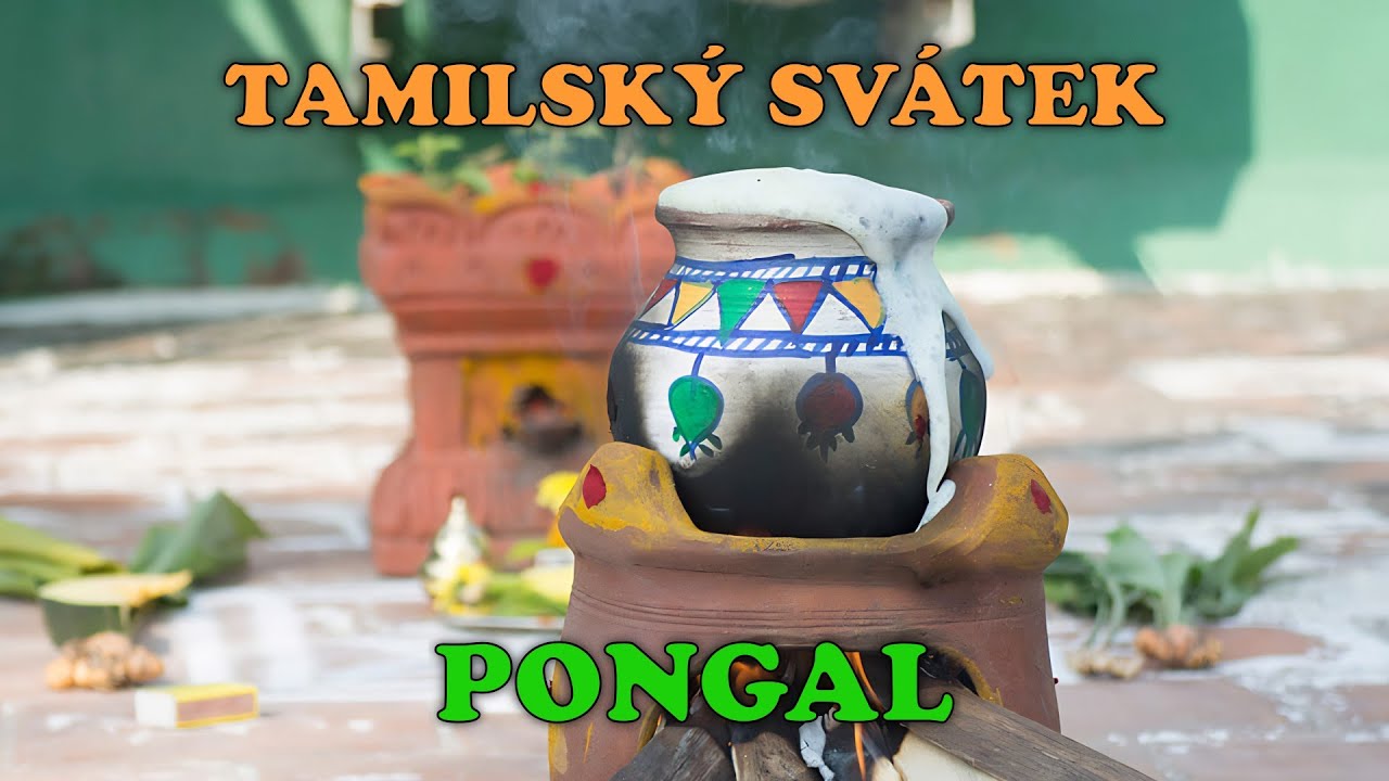 5. TAMILSKÁ POUŤ/ Tradiční Věhlasný Svátek Pongal #indie