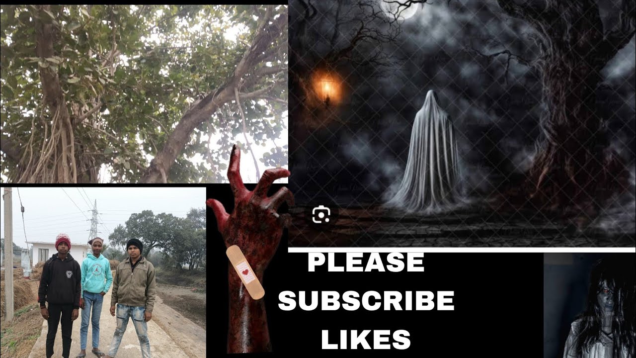 Tree 🌲 wala ghost.  3 dost 