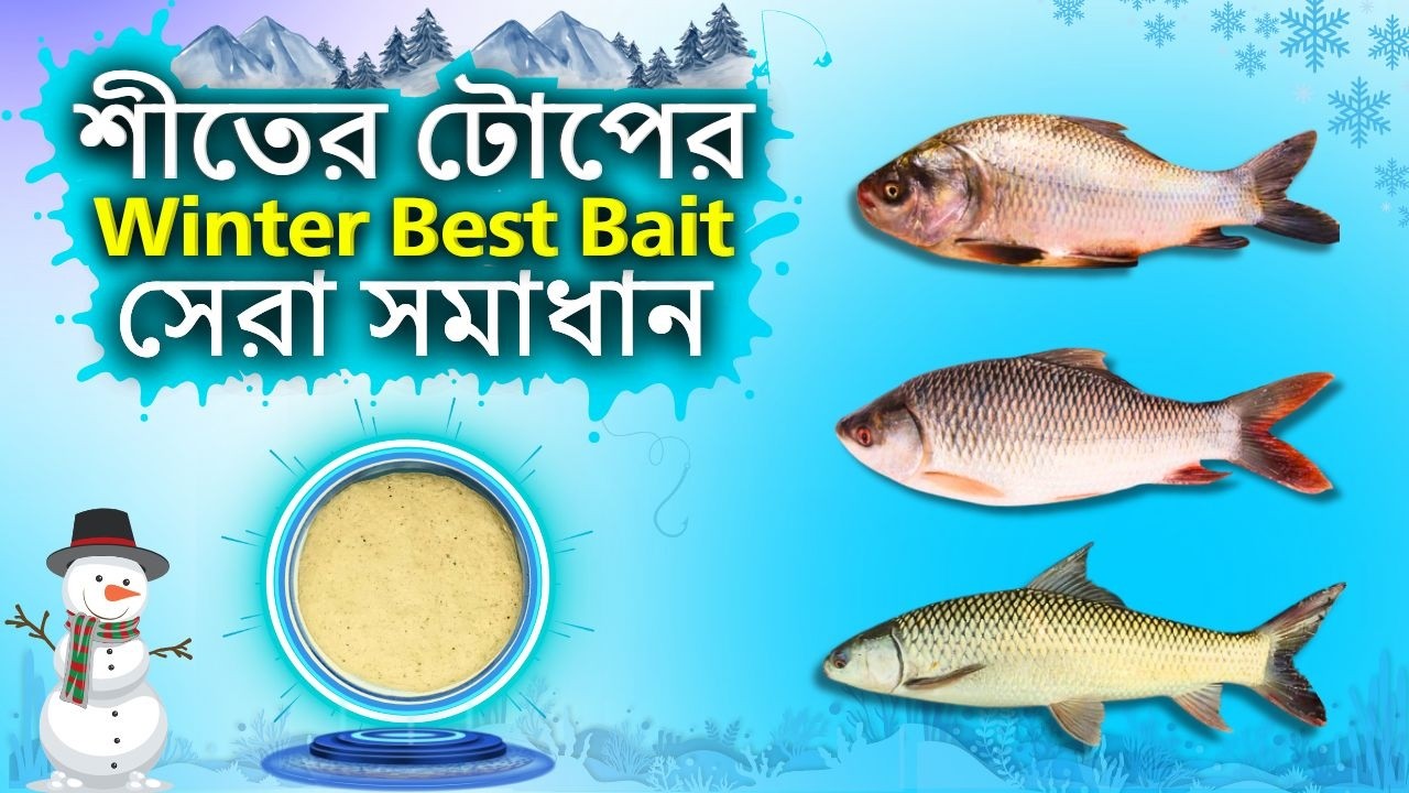 ❄️ শীতের মাছ ধরার গোপন রহস্য! এমন টোপ আগে কেউ দেখায়নি! ৯০% হিট রেট! 🎣 Winter Top Recipe