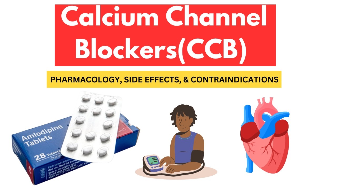 Calcium Channel Blockers Explained &ndash; Pharmacology, Uses, Side Effects & More!
