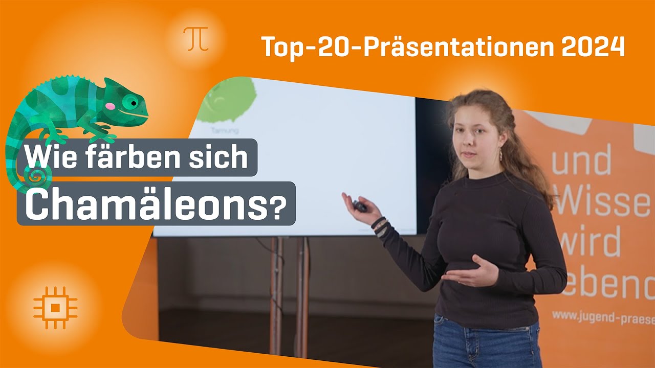 Warum Chamäleons in Wirklichkeit gar nicht grün sind und wie sie sich färben | Jugend präsentiert