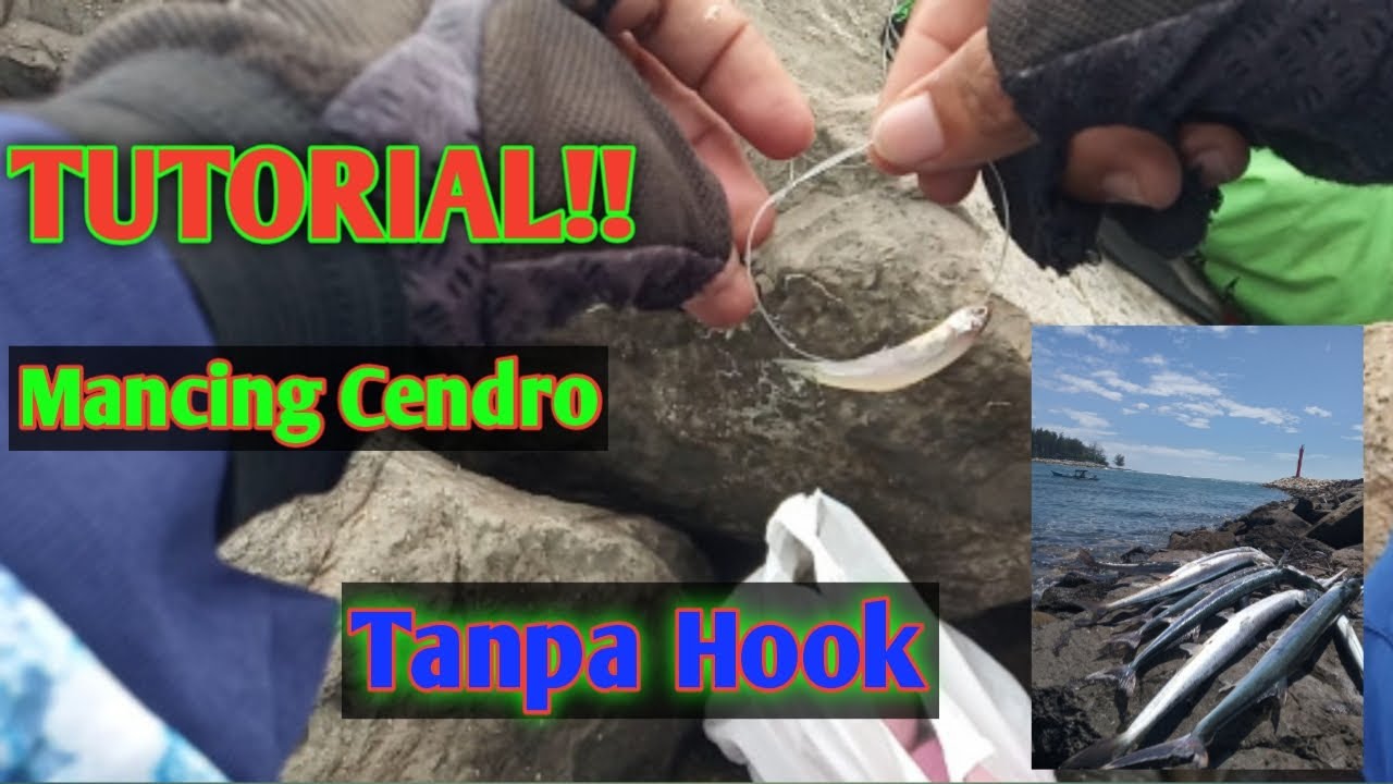 Terbaru, Tutorial Mancing Cendro Tanpa Hook #mancing #tutorial #mancingmaniabengkulu #mancingmania