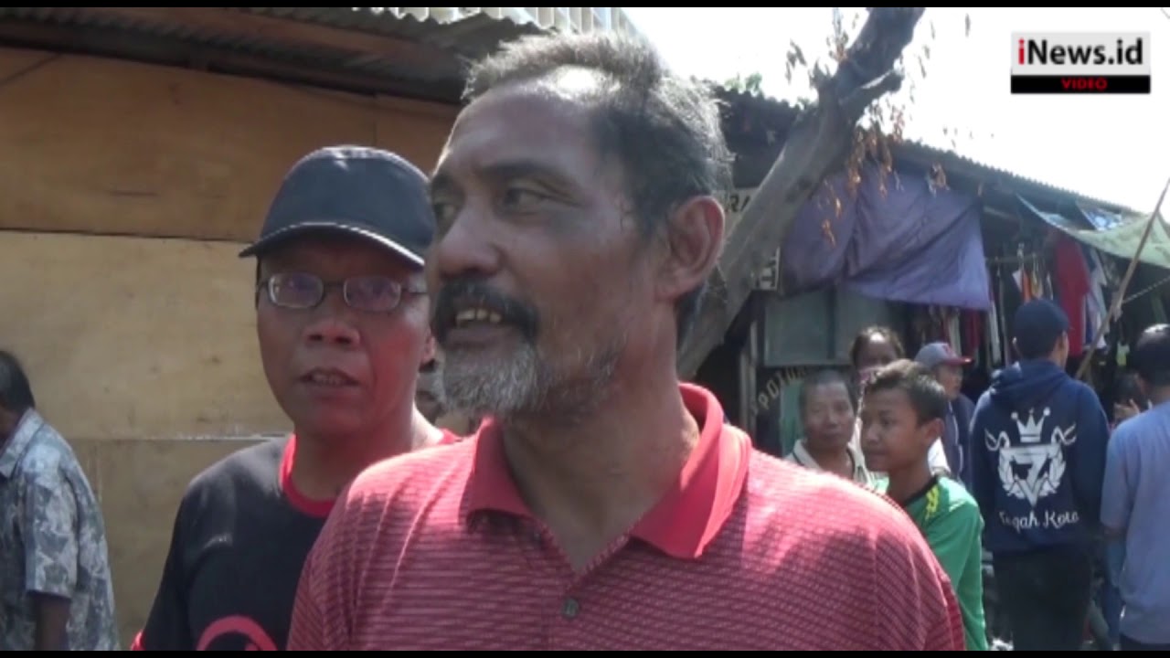 Video Detik-Detik Evakuasi Sapi Kurban Loncat ke Sungai di Semarang