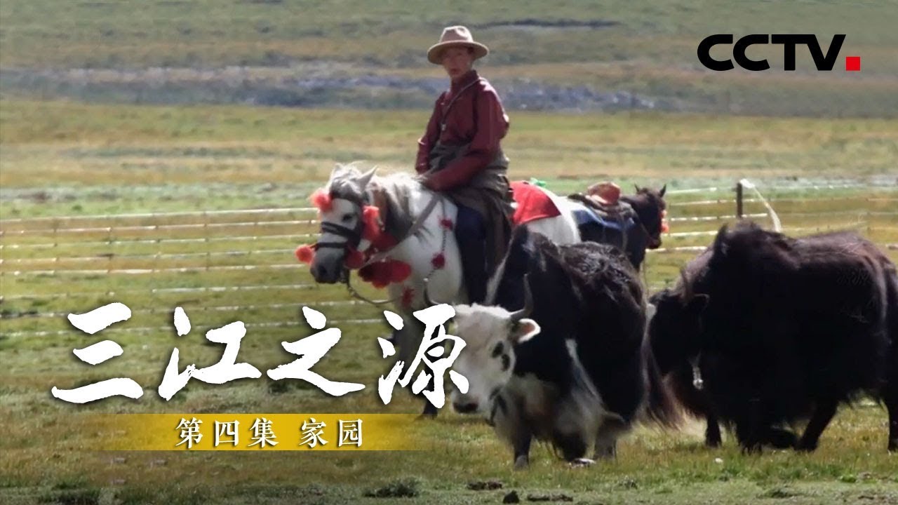 【ENG】《三江之源》第四集 家园 | CCTV纪录