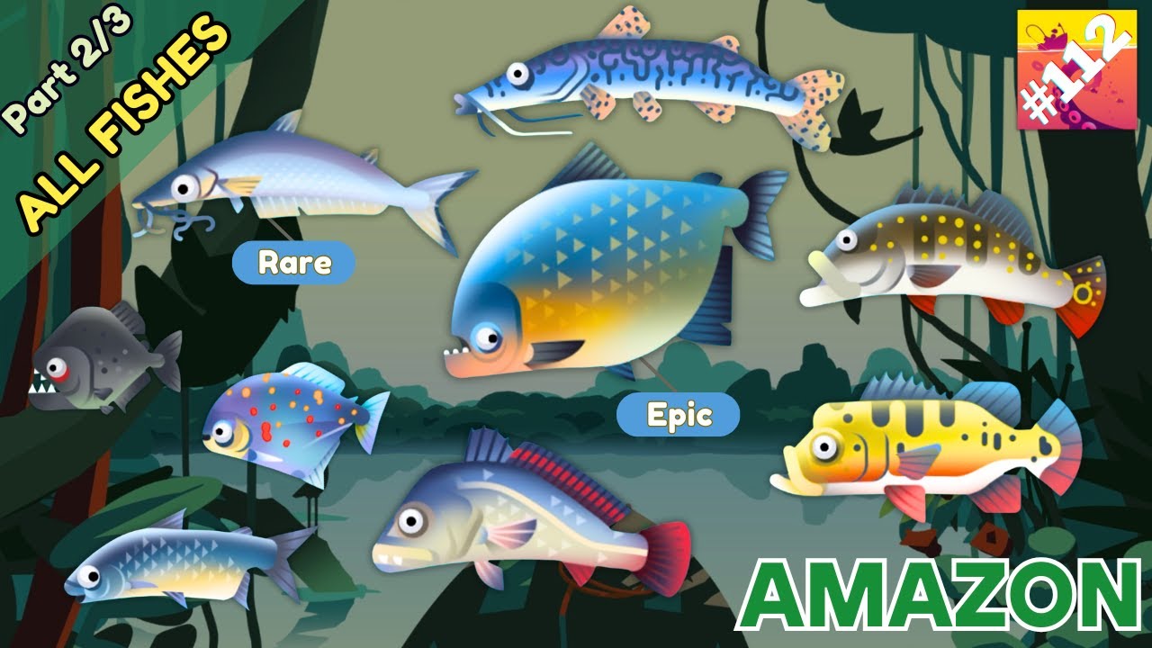 Creatures Of The Deep : All Fishes in Amazon (2/3)