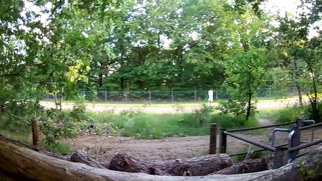 Stompert single trail
